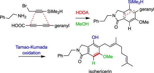 De novo Assembly of the Benzenoid Ring as a Core Strategy for Synthesis of the Isoindolinone Natural Products Isohericerin, Erinacerin A, and Sterenin A